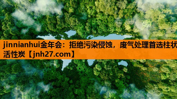 jinnianhui金年会：拒绝污染侵蚀，废气处理首选柱状活性炭