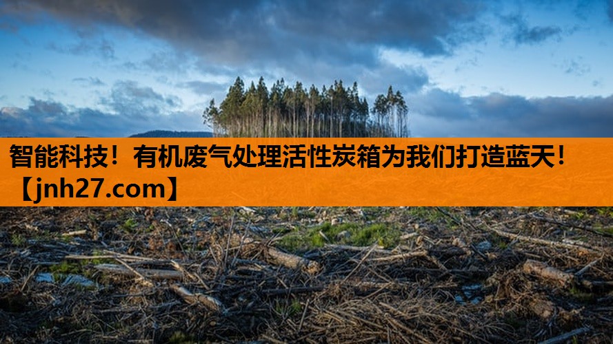 智能科技！有机废气处理活性炭箱为我们打造蓝天！