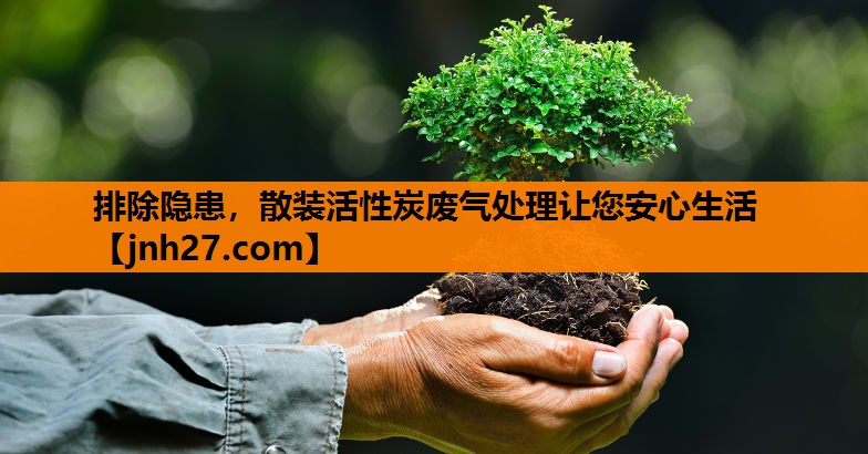 排除隐患，散装活性炭废气处理让您安心生活