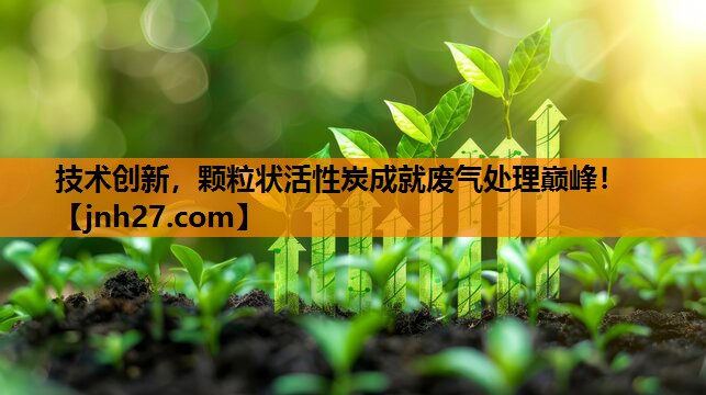 技术创新，颗粒状活性炭成就废气处理巅峰！