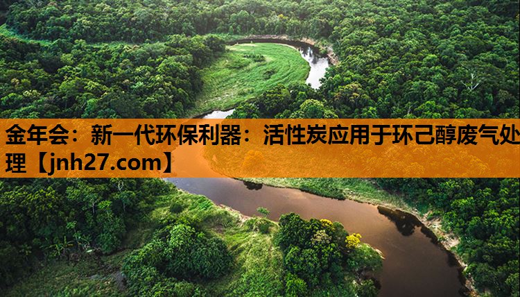 金年会：新一代环保利器：活性炭应用于环己醇废气处理