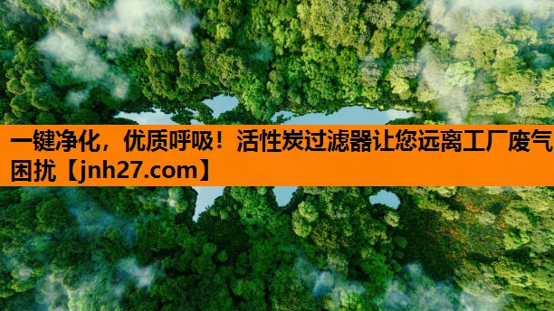 一键净化，优质呼吸！活性炭过滤器让您远离工厂废气困扰
