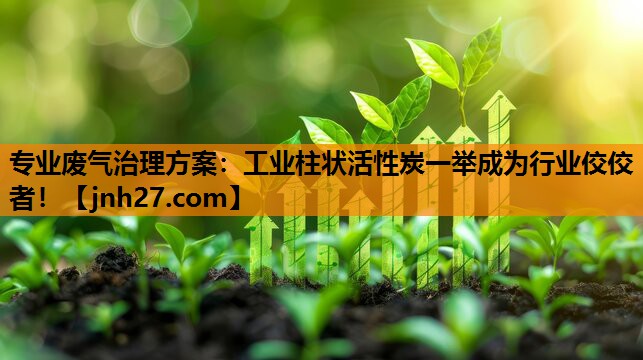 专业废气治理方案：工业柱状活性炭一举成为行业佼佼者！