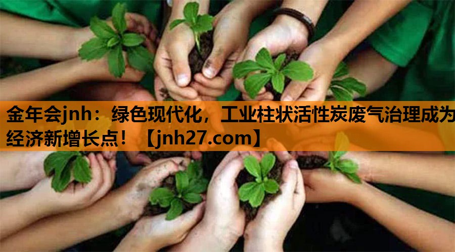 绿色现代化，工业柱状活性炭废气治理成为经济新增长点！