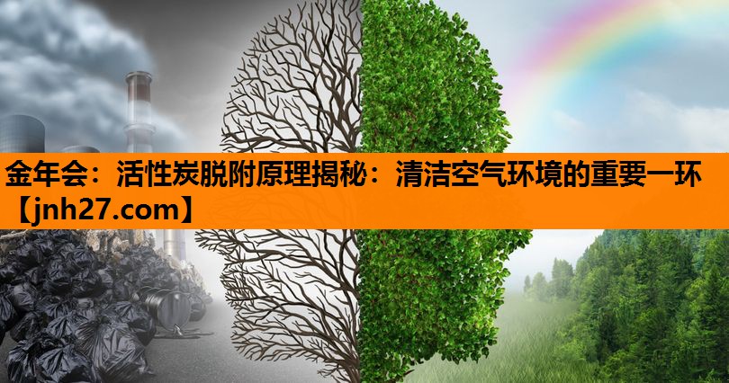 活性炭脱附原理揭秘：清洁空气环境的重要一环