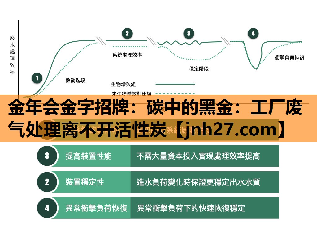 碳中的黑金：工厂废气处理离不开活性炭