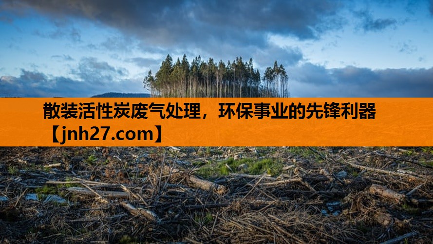 散装活性炭废气处理，环保事业的先锋利器