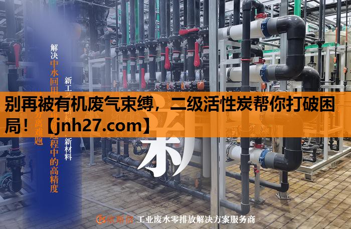 别再被有机废气束缚，二级活性炭帮你打破困局！
