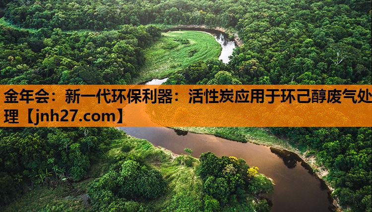 新一代环保利器：活性炭应用于环己醇废气处理