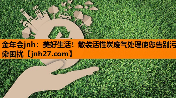 美好生活！散装活性炭废气处理使您告别污染困扰