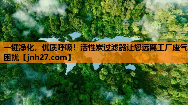 一键净化，优质呼吸！活性炭过滤器让您远离工厂废气困扰