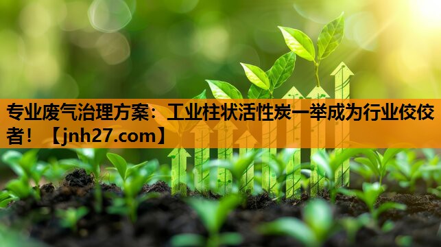 专业废气治理方案：工业柱状活性炭一举成为行业佼佼者！